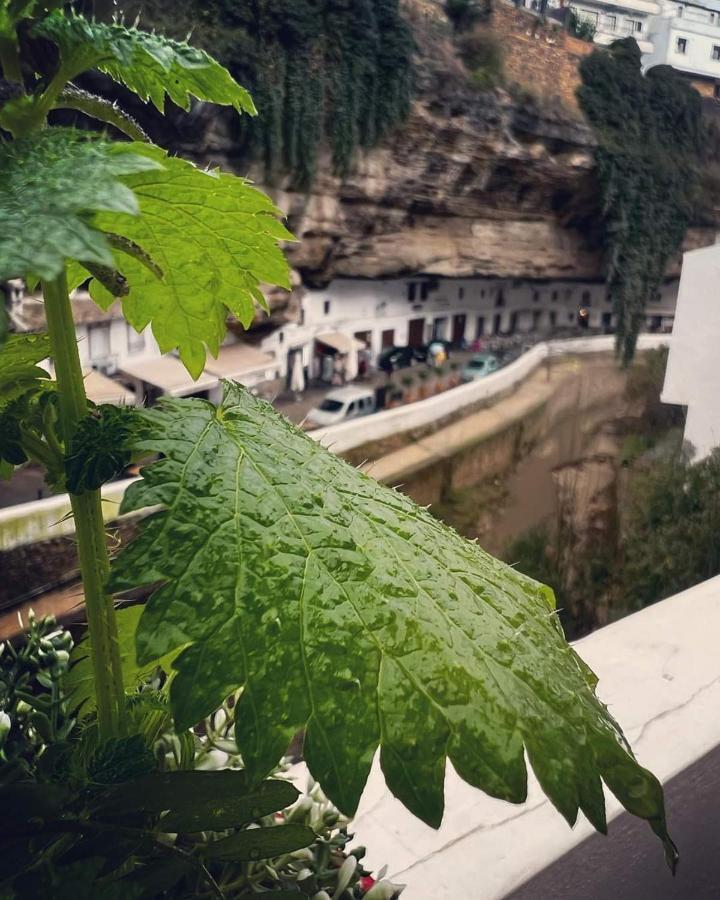Setenil De Las Bodegas Casa Bajo La Roca 빌라 외부 사진